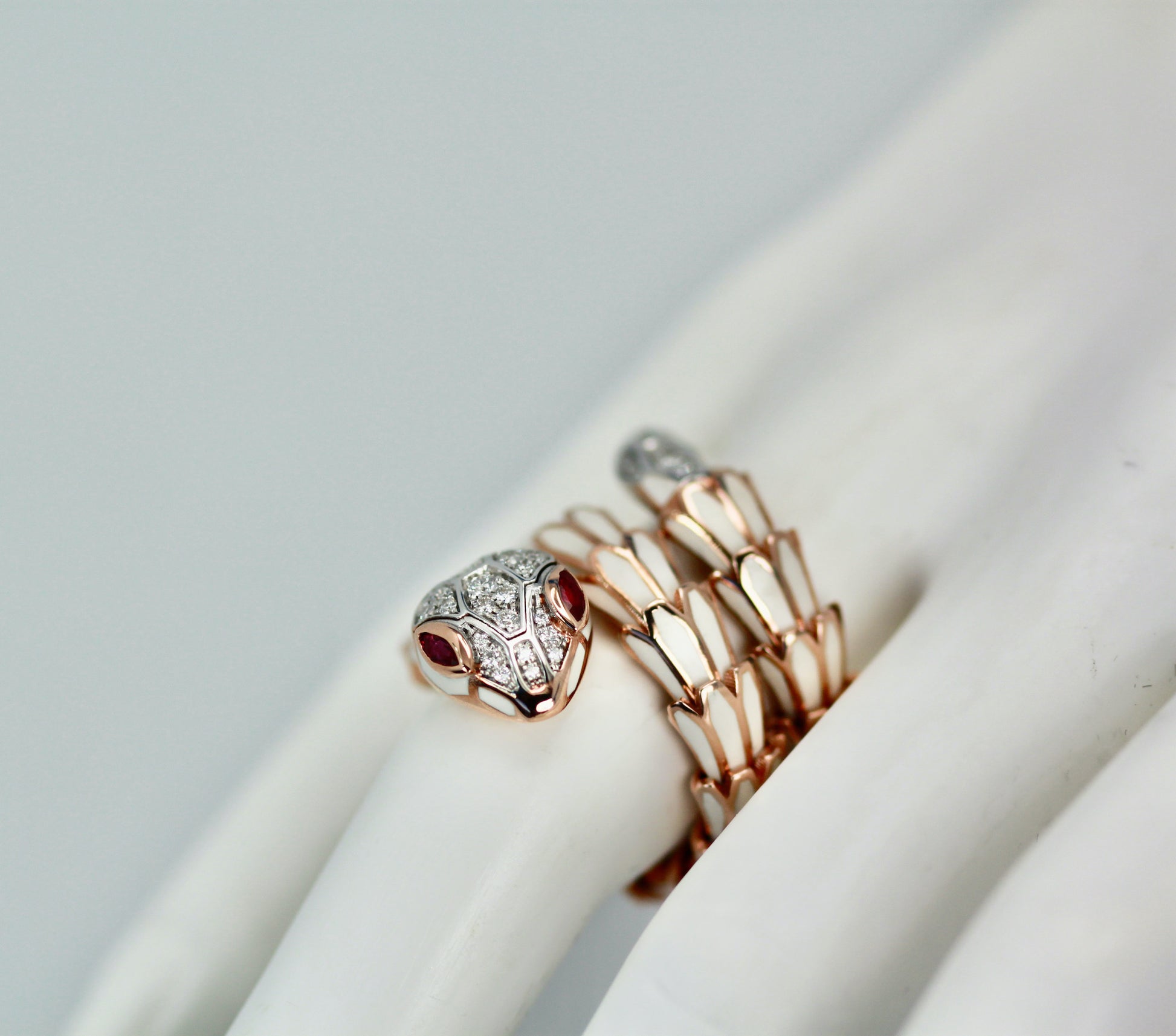 Expandable enamel snake ring